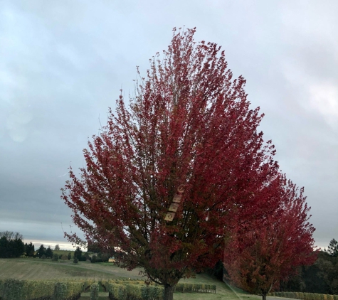 Domaine Serene Winery - Dayton, OR