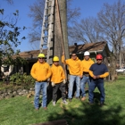 Maxima's Tree Service LLC