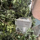 Goff's Tree Service - Arborists