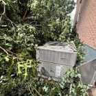 Goff's Tree Service