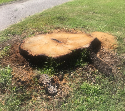 Low-cost stump grinding inc. - Bunnell, FL