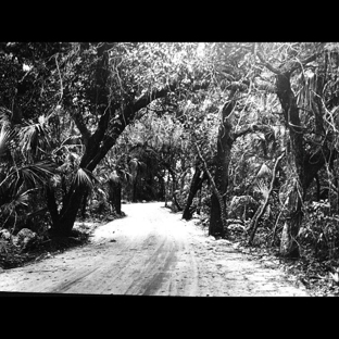 Coral Gables Museum - Coral Gables, FL