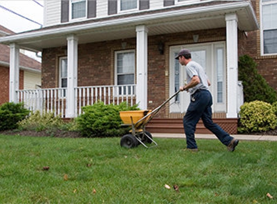 Golden Rule Lawn Renovations - Issaquah, WA