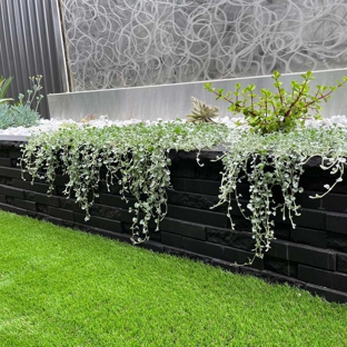 Dirt 2 Dazzle Landscaping. By Sahara Gardens - The Ponds, NSW
