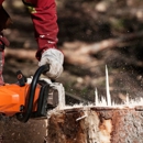 Indiana Tree Service - Arborists