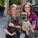 Companion Animal Wellness Ctr - Veterinarians