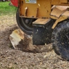 713 Stump Grinding gallery