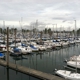 Tomahawk Island Marina