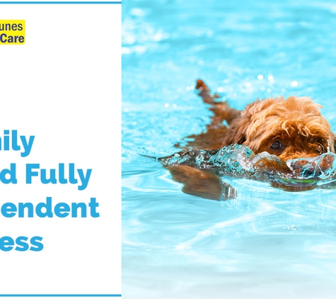 Neptunes Pool Care - Redcliffe, QLD. A Family Owned Fully Independent Business