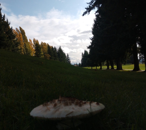 Allenmore Public Golf Course - Tacoma, WA