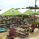 United Lawnscape - Nurseries-Plants & Trees