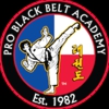 Professional Black Belt Academy - McKinney gallery