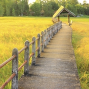 Gallery Image Number 8