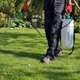 Canady & Son Exterminating Inc