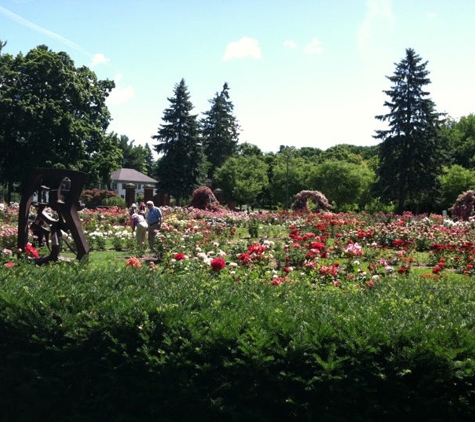 Central Park Rose Garden - Schenectady, NY