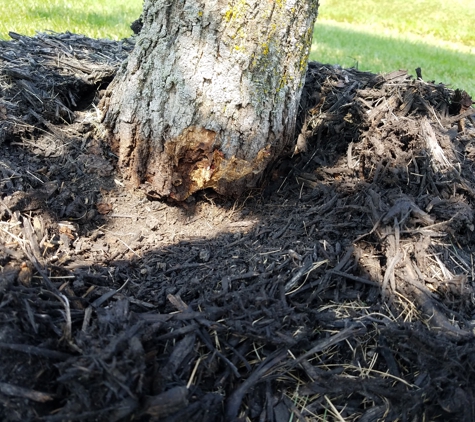 Ohio Tree Care - Columbus, OH