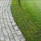 Chambers Landscaping & Lawn