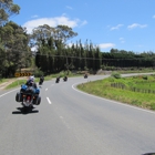 Pohutukawa Motorcycle Tours