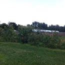 Intervale Community Farm - Farms