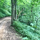 Hatfield-Mccoy Trails