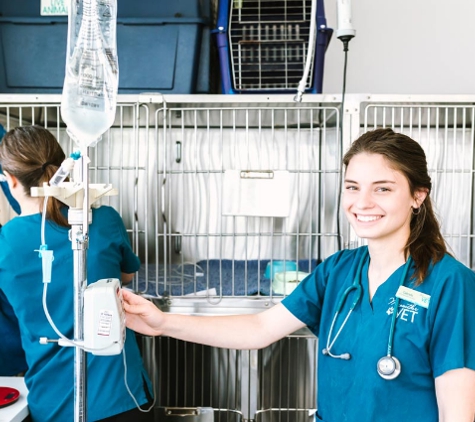 Merewether Veterinary Hospital - Merewether, NSW