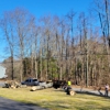 Letts Tree Service gallery