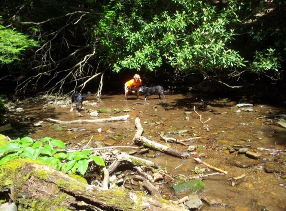 Big Run State Park - Swanton, MD