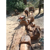 Gallery Image Number 4