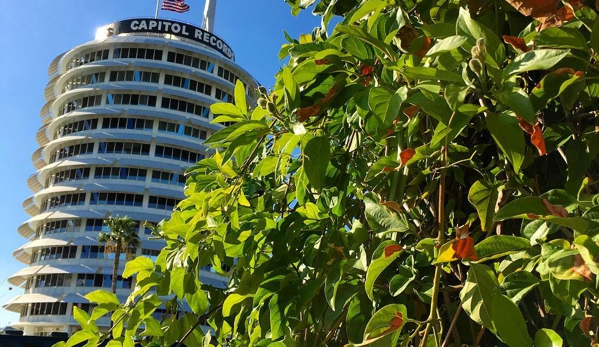 Capitol Records, Inc. - Los Angeles, CA