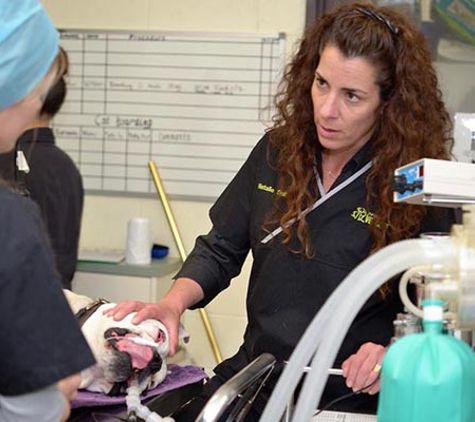 Peninsula Vet Care - Rye, VIC
