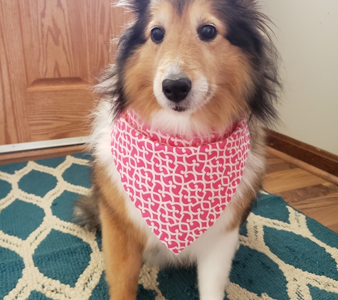 The Groom Room Dog Salon - Harrisburg, PA