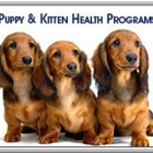 All Valley Pet Hospital