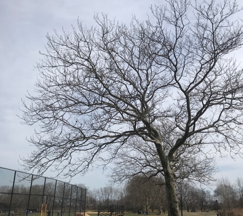 Canarsie Park - Brooklyn, NY