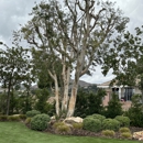 Escalante Tree Service - Arborists