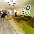 The Groves at Lake Ella Homes - Apartments