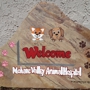 Mohave Valley Animal Hospital, Inc