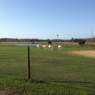 Safari Wilderness - Lakeland, FL