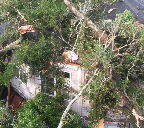 A Brothers Tree Service - Houma, LA