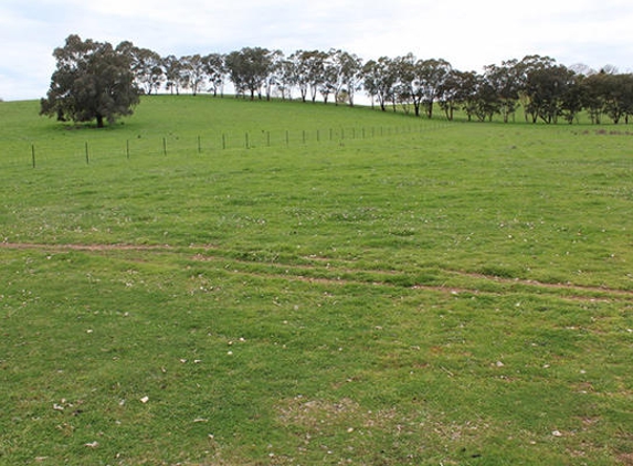 Holman Tolmie Pty Ltd - Cootamundra, NSW
