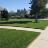 Lively Lawn Care & Water Features gallery