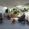 Paradigm Contracting & Hardscaping gallery