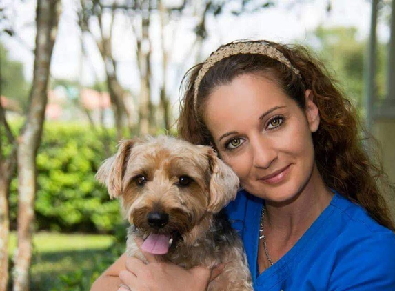 Comfort and Care Pet Sitting/Vet tech svcs. - Casselberry, FL