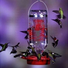 Rubyredbirdfeeders.com