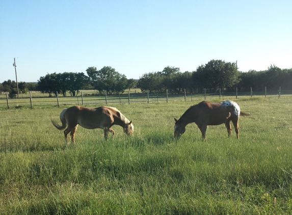 Texas Star Farm - Georgetown, TX