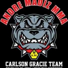Andre Madiz MMA