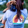 Sunset Veterinary Clinic gallery