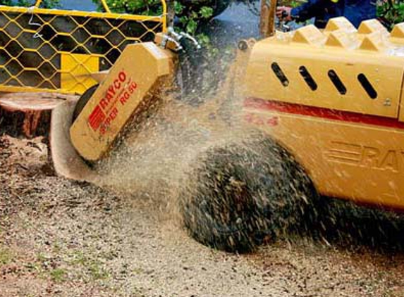 Affordable Stump Grinding - Pensacola, FL. 850-457-7793