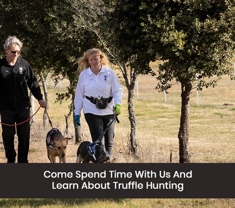 L'Air du Wombat Pty Ltd - Oallen, NSW. Come Spend Time With Us And Learn About Truffle Hunting