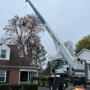 A & J Tree Service