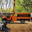 Checotah Tree Service - Arborists